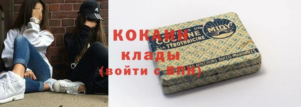 ГАЛЛЮЦИНОГЕННЫЕ ГРИБЫ Абаза