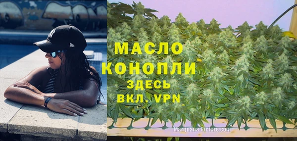 тгк Пересвет