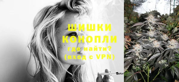 тгк Пересвет