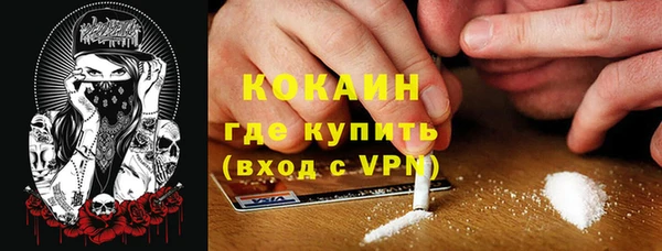 тгк Пересвет