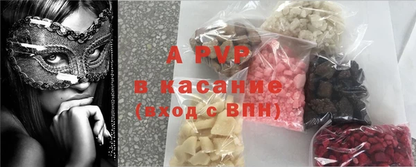 ГАЛЛЮЦИНОГЕННЫЕ ГРИБЫ Абаза