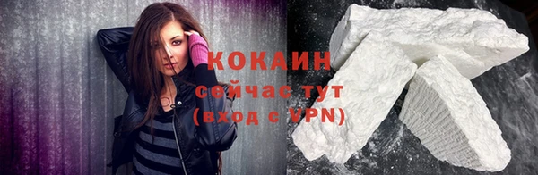дмт Пестово