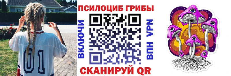 Псилоцибиновые грибы Psilocybine cubensis купить наркоту Шали