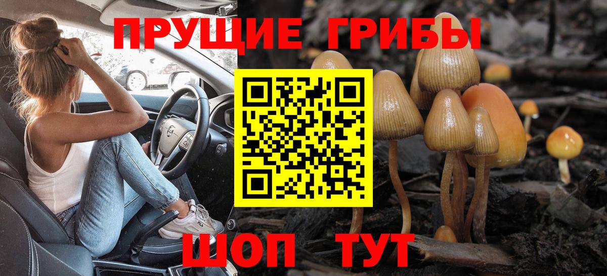 дарнет шоп  Вход с VPN  Шали  Псилоцибиновые грибы GOLDEN TEACHER  Галлюциногенные грибы Psilocybe 